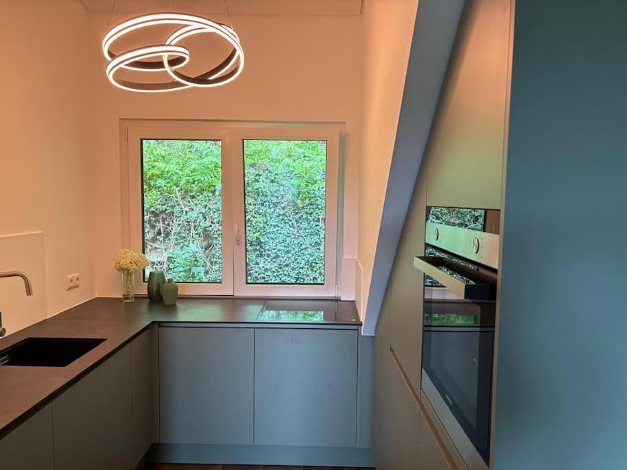 Ferienwohnung Zur Donauinsel Bad Abbach Exterior foto